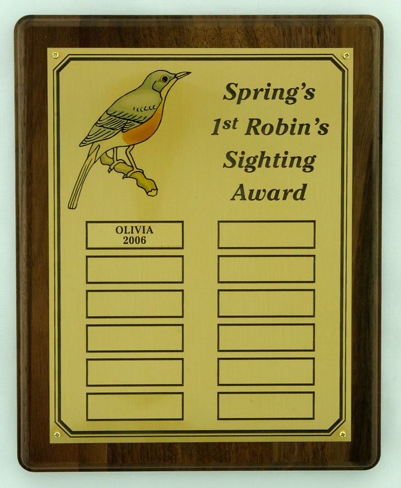 SpringRobin.jpg