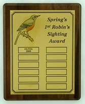 SpringRobin.jpg